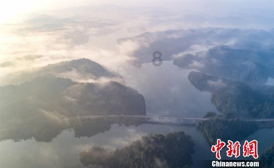 逗小猴开心系列173
